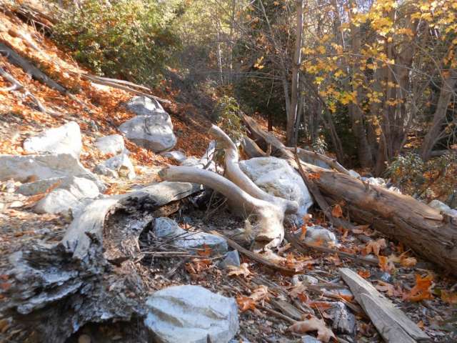 秋の深まりを見せる美しい渓谷 Icehouse Canyon